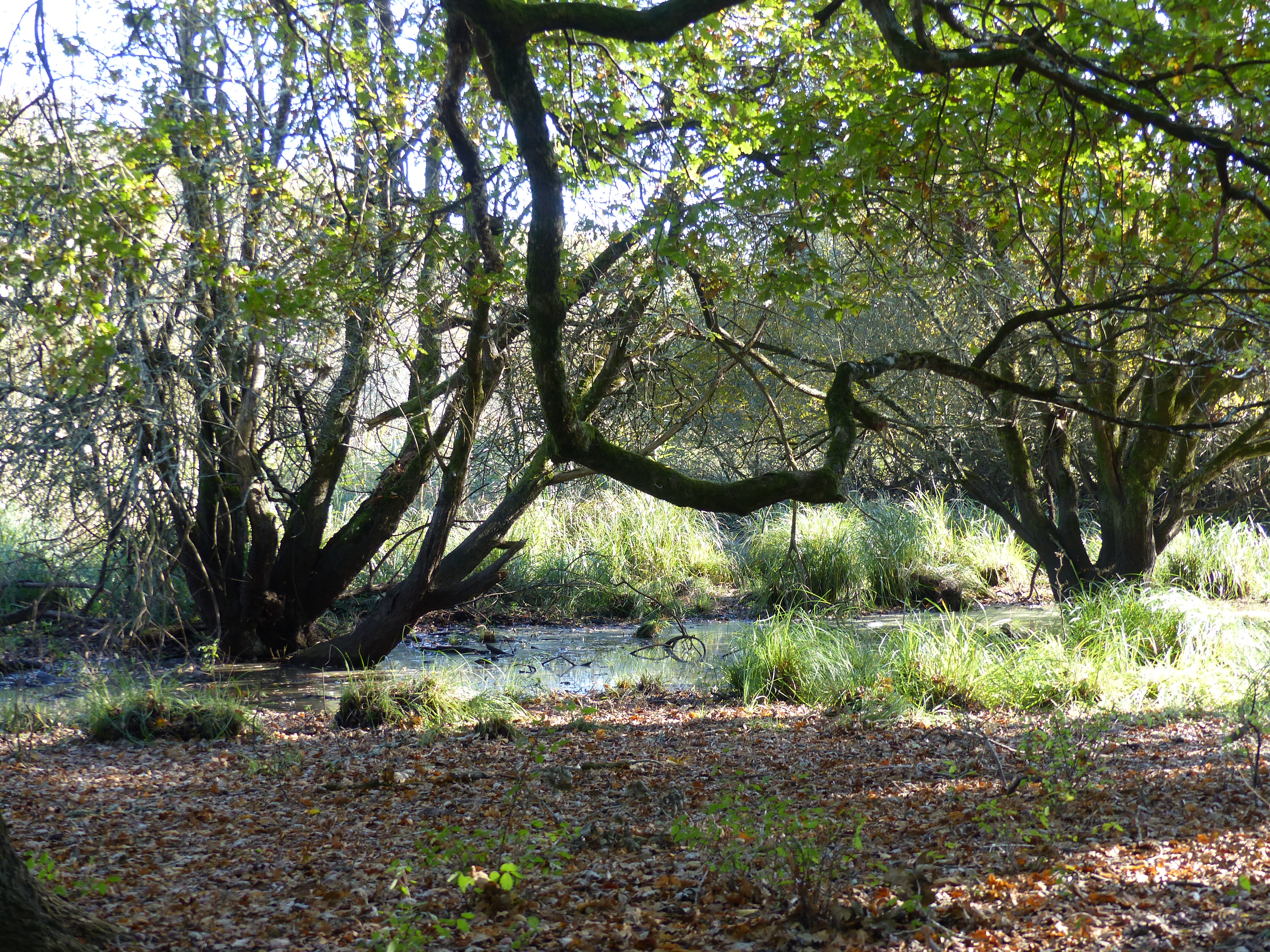 Travaux hydrauliques