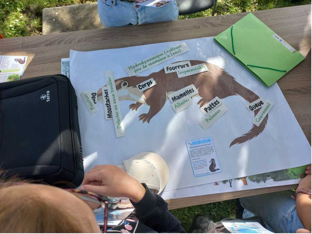 La Loutre s’invite à la journée mondiale de l’eau